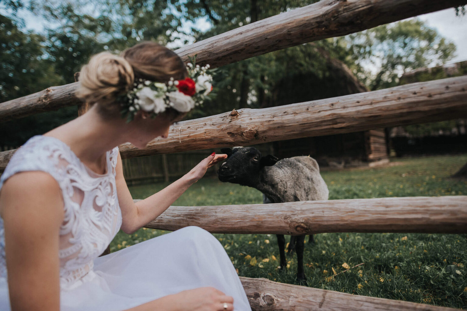 Rustykalna panna młoda przy zagrodzie z owcami.