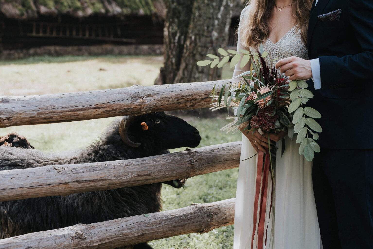 Rustykalna panna młoda pozuje na tle zagrody z owcami w muzeum wsi opolskiej